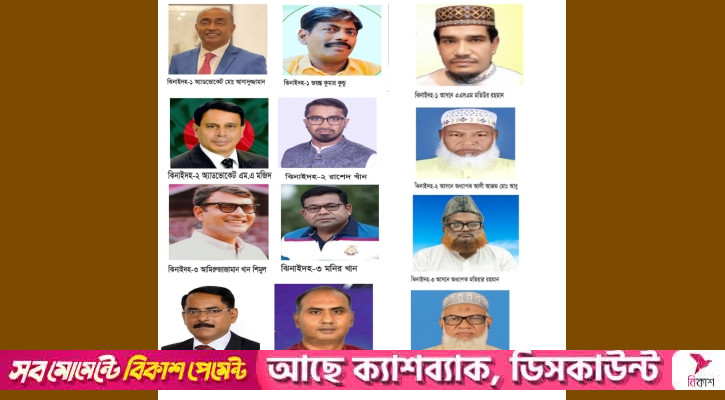 ভোট সামনে রেখে ঝিনাইদহে মাঠে আছেন যারা